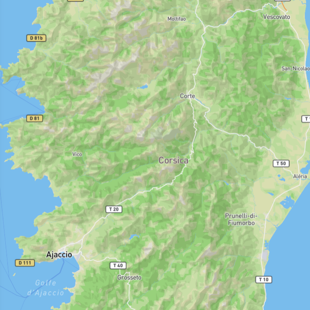 Then I moved to Mapbox, where I discovered that when creating a new project, you can choose a template. The 'Outdoor' feature caught my eye.